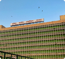 AIIMS - New Delhi